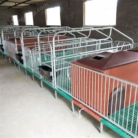 现货  养殖设备 保育床 单体母猪产床 复合板 养母猪产床 可定制福立畜牧