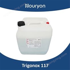诺力昂 Trigonox 117 过氧化-2-乙基己基碳酸叔丁酯 TBEC