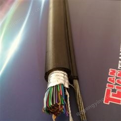 ZRC-HYA20*2*0.5阻燃通信电缆