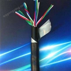 信号电缆PTYA23-9芯