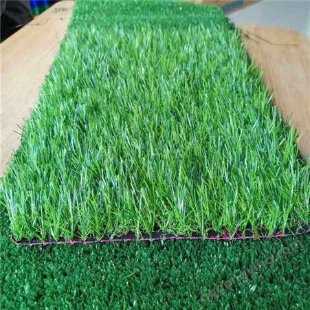 生产出售 幼儿园塑料地毯 仿真草坪 户外操场人工假草坪 可订购