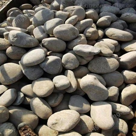 天然鹅卵石 河卵石 变压器5-8公分鹅卵石滤料 园林铺路景观鹅卵石