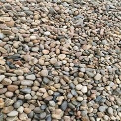 5-8天然鹅卵石园林景观铺路 园林景观石 铺路用石子 变压器用卵石