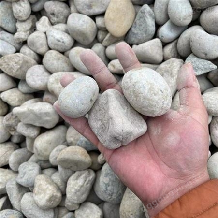天然鹅卵石 河卵石 变压器5-8公分鹅卵石滤料 园林铺路景观鹅卵石