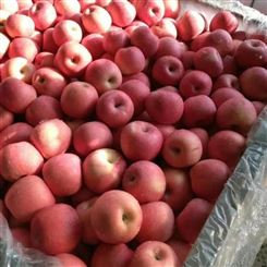 梧州市苹果 红富士苹果 规格新鲜水果 宏远果蔬