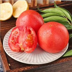 图木舒克市 西红柿 规格新鲜蔬菜 量大从优宏远果蔬