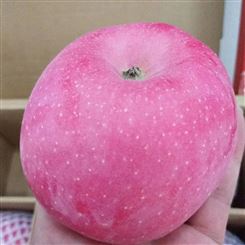 红富士苹果 红富士苹果75-80-90mm冷库苹果