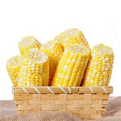 玉米食材原料 玉米小零食加工原料  熟食水果玉米 八两阳光